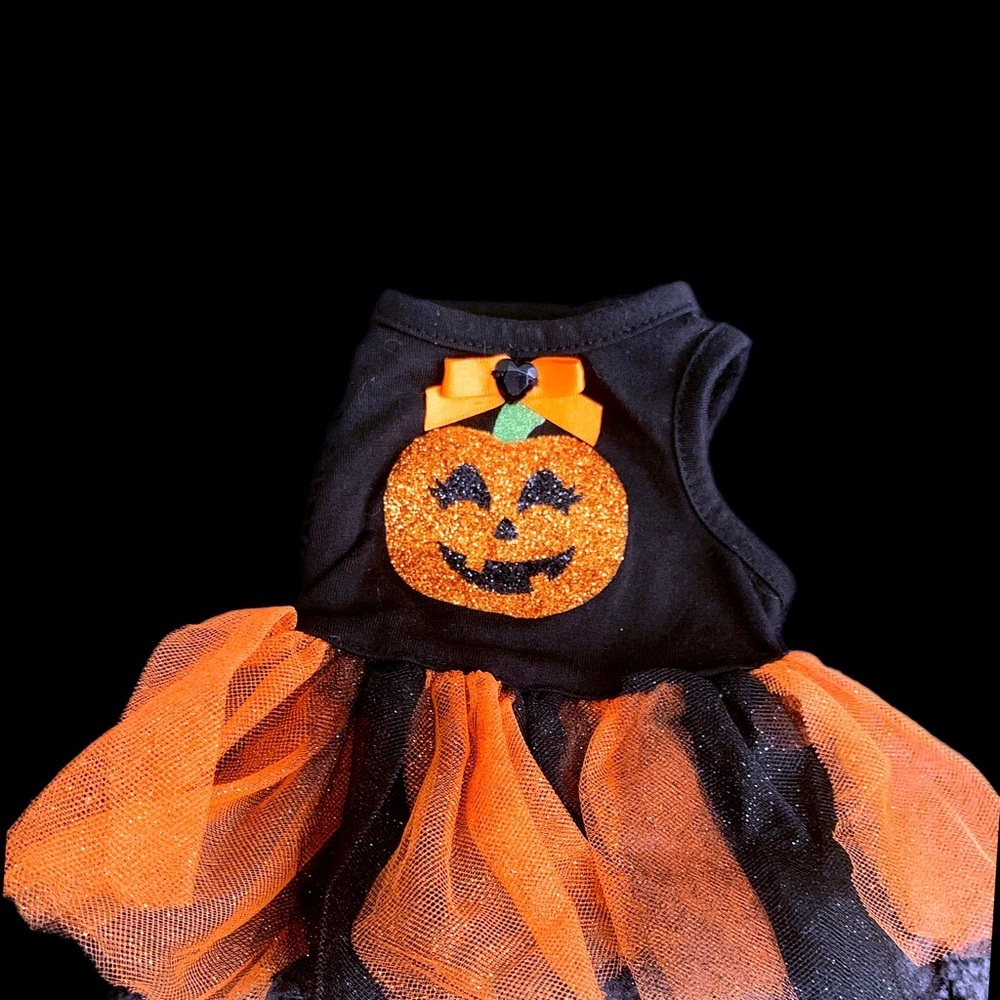 PET JACK-O’-LANTERN COSTUME - Picture 9 of 12